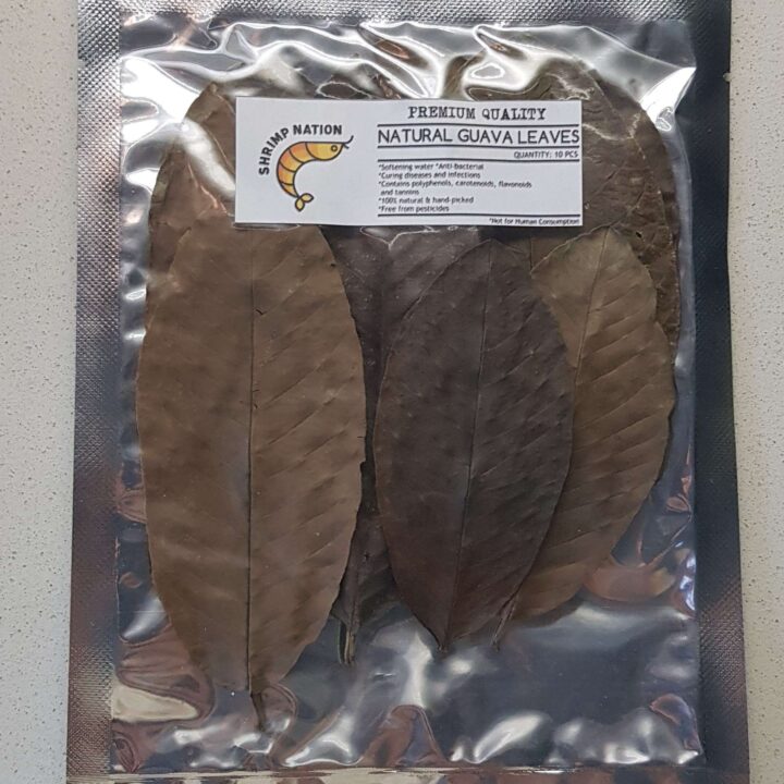 Shrimp Nation - Guava Leaves - Shrimp Nation - South Africa