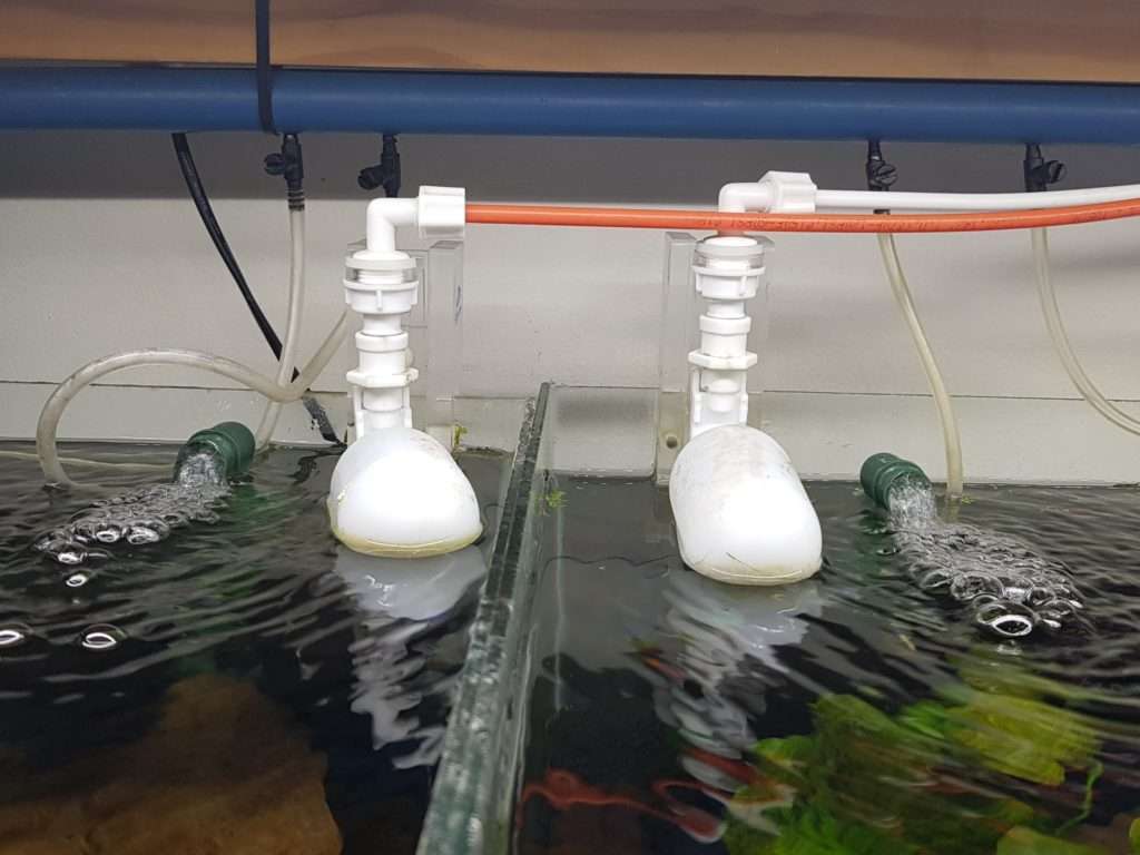 Bubble Magnus Float Valves SN