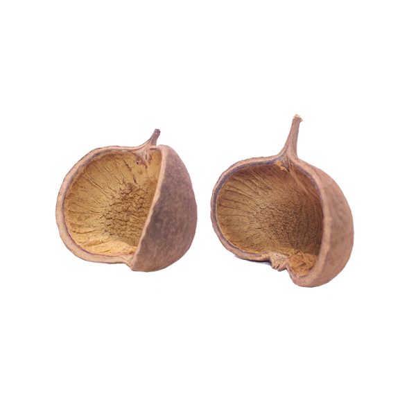 Buddha Nut Pods