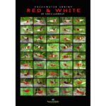 Redwhite