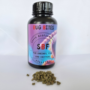 Canva 1 SBF.51001