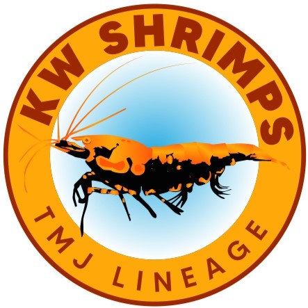 KW Shrimp Logo